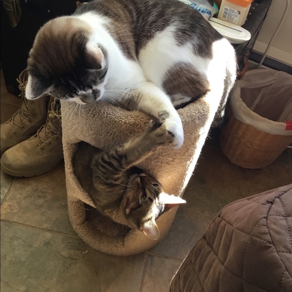 I learn so much checking out other closets! - Picture 2 of 16